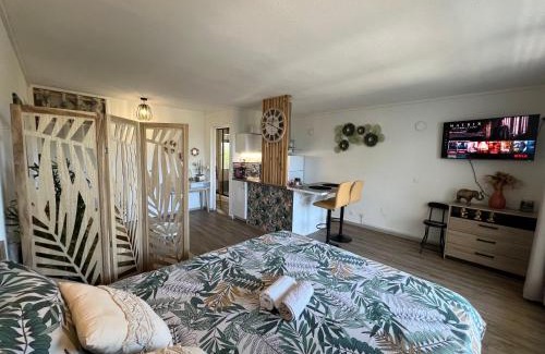 Saint Felix Apartment | Studio de charme au Gosier