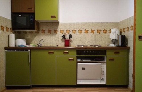 Menzenschwand-Hinterdorf Apartment | Studio C2 with a small conservatory for 2 people