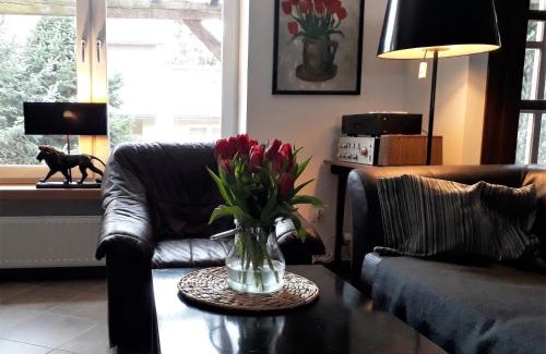 Naleczow Apartment | Studio Dom Nałęczowski