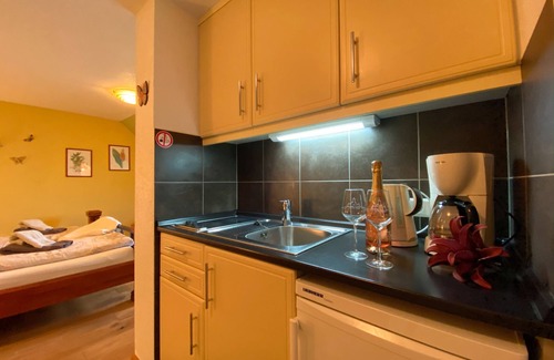 Cochem Apartment | Studio Dornfelder with Moselle view