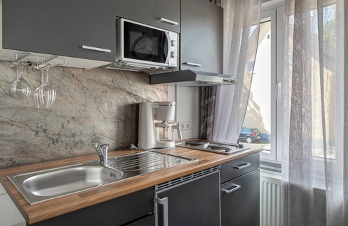 Breisach Apartment | Studio 'Falko' with Shared Terrace, Balcony and Wi-Fi