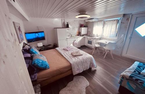 Saxon Apartment | Studio familial proche bains de Saillon