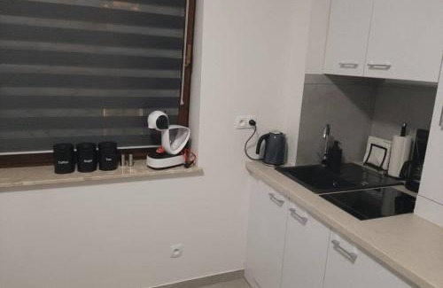 Rybnik Apartment | Studio Fibra Choco