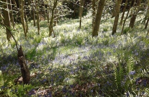 Yarpole Apartment | Studio Flat In Quiet Village Between Ludlow And Leominster