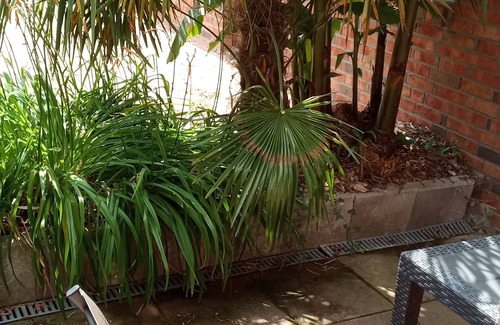 Weseloh Apartment | Studio for 2 to 3 persons with terrace, playground and 16 fishing ponds