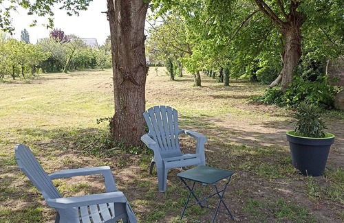 Saint-Clement-des-Levees House | Studio in the heart of a village on the banks of the Loire