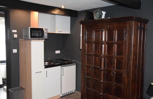 Maaseik Apartment | Studio frodo en zazou