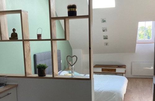 Gennes-Val-de-Loire Apartment | Studio / Gîte sur les Bords de Loire en Centre Ville