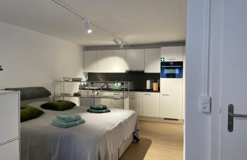 Uster District Apartment | Studio Gocki