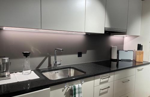 Uster District Apartment | Studio Gocki