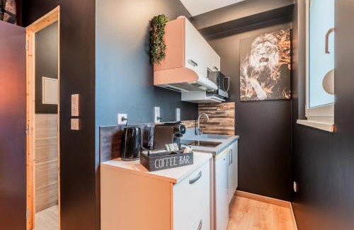 Drusenheim Apartment | "STUDIO GOLD" Proche Gare - Netflix - Wifi - Cuisine