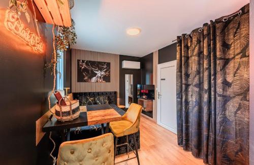 Drusenheim Apartment | "STUDIO GOLD" Proche Gare - Netflix - Wifi - Cuisine