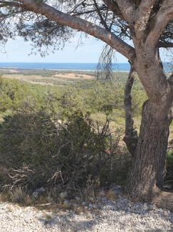 Gruissan Apartment | studio gruissan proche plage des chalets