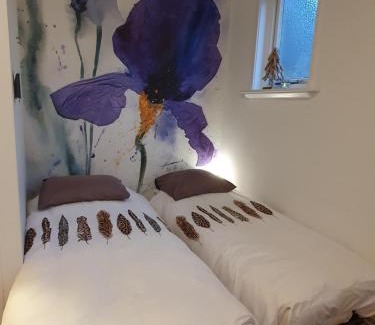 Westerbork House | Studio in rietgedekte boerderij, geheel privé, hond vriendelijk