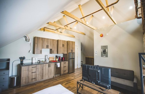 Saint-Raymond Apartment | Studio Lofts, vaulted ceilings