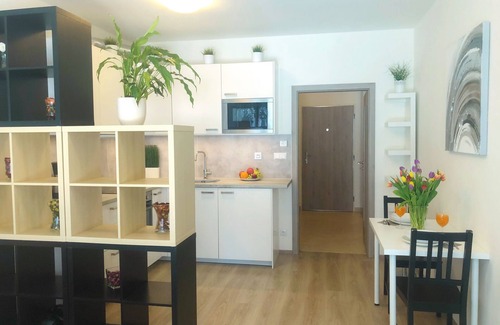 Zlicin Apartment | Studio Metropole with terrace