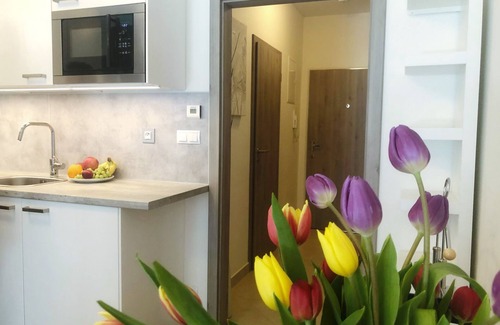 Zlicin Apartment | Studio Metropole with terrace