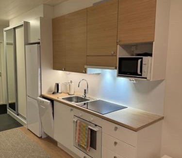 Ivalo Apartment | Studio Mukka, Ivalo Center