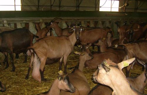 La Canourgue Cabin | Studio nature a la ferme