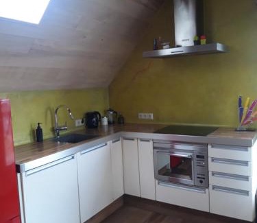 Den Dungen Apartment | Studio Nok bij Den Bosch