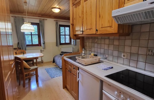 Ambroz pod Krvavcem Apartment | Studio on Krvavec ski resort with sauna