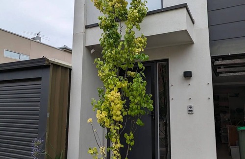 Kent Town Apartment | Studio on Mattingley