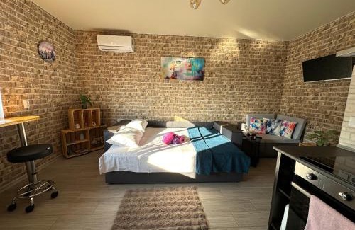 Jasienow Apartment | Studio on Pestelya street