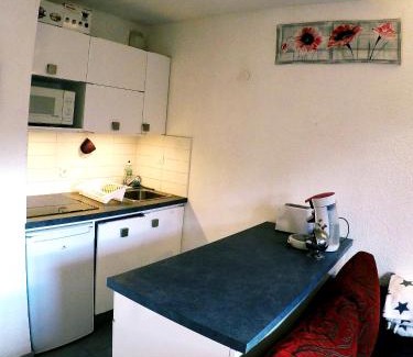 Thollon-les-Memises Apartment | Studio plein sud, Wifi, Parking