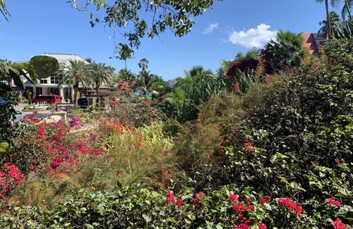 Frydendal Resort | Studio -Plus upper level is available.