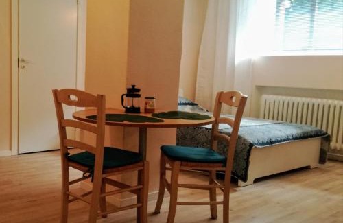 Pelgulinn Apartment | Studio Rohu