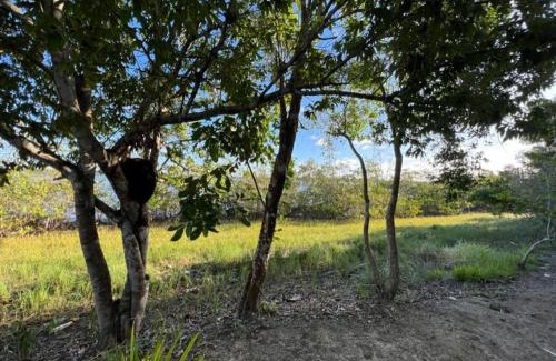 Caravelas House | Studio Salmão, beira da água, área Gourmet - Mar Doce!