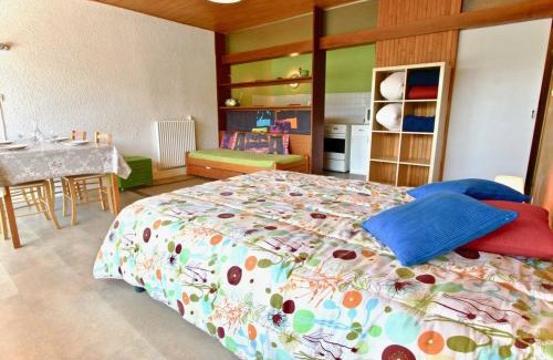 Chamrousse Apartment | Studio spacieux rénové 35 m², balcon sud, animaux acceptés, Chamrousse 1650 - FR-1-340-132