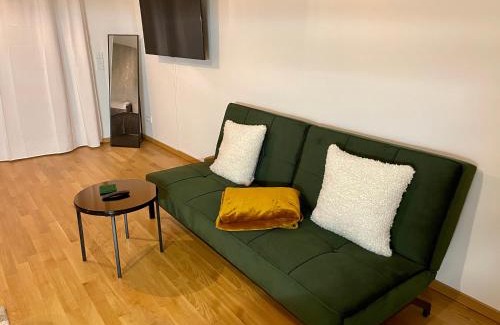 Offenbach am Main Apartment | Studio Stevie Nicks I Workplace I 24in Screen I Kitchen I PS4