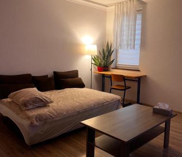 Dzierzoniow Apartment | Studio w centrum miasta