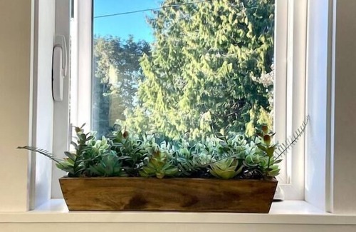 Edmonds Apartment | Studio w/Seaside Charm! Full Kitchen + Easy Train to FIFA Seattle World Cup