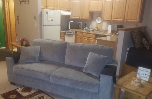 Wildernest Apartment | Studio, Wildernest area Silverthorne Co
