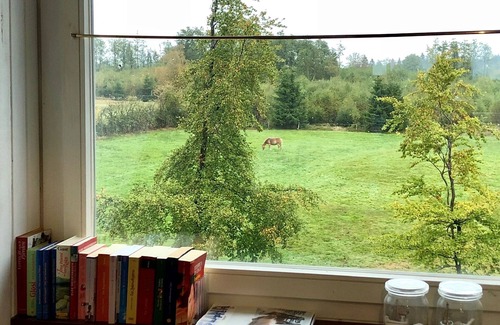 Monschau Apartment | Studio with kitchen, fireplace, terrace, barbecue - dogs allowed - Hohes Venn - Eifel