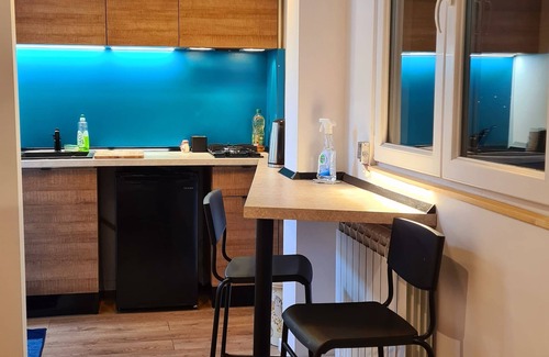 Sector 2 Apartment | Studio with Lake View