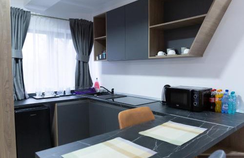 Frasin Apartment | Studio with Parking in Frasin