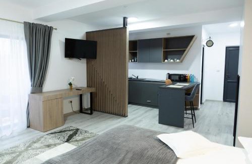 Frasin Apartment | Studio with Parking in Frasin