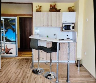 Shkorpilovtsi Apartment | Studio33