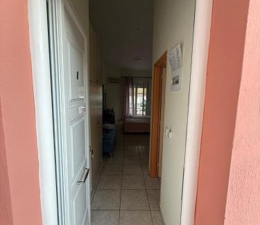 Ilia Apartment | Studios ΖΩΗ