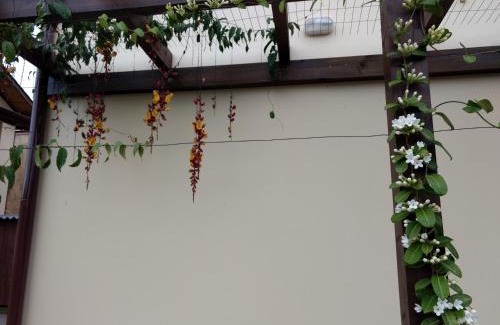 Barra da Lagoa Apartment | Studios Formanabá