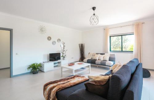 Castelo de Paiva Villa | Stunning 3-bed-2-bath villa over Douro River;Porto city - WIFI-sleep 6-10