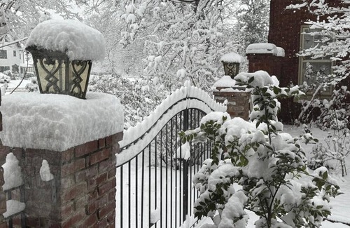 Memphis House | Stunning 3 bed, 3 bath house [sleeps 8] in Midtown, 2min drive to Rhodes College