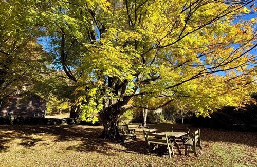 Red Hook House | Stunning 5-bedroom Dutchess Co. home near Rhinebeck, Omega, Bard College, skiing