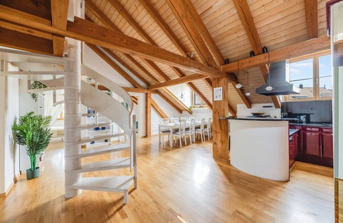 Winterthur Apartment | Stunning apartment with roof terrace