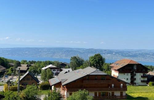 Thollon-les-Memises Apartment | Stunning apartment with views over Lake Geneva