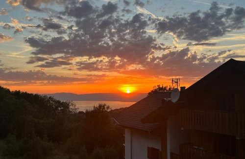 Thollon-les-Memises Apartment | Stunning apartment with views over Lake Geneva