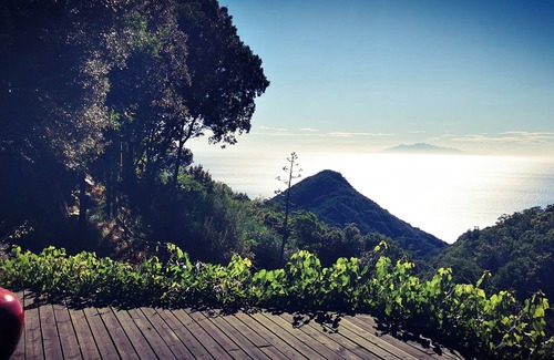 San-Martino-di-Lota Cabin | Stunning Cabin in Splendid Surroundings Cap Corse
